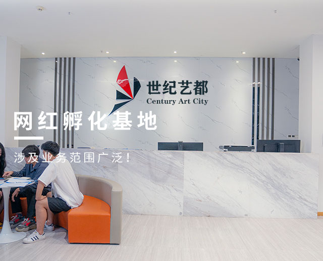 专业专注